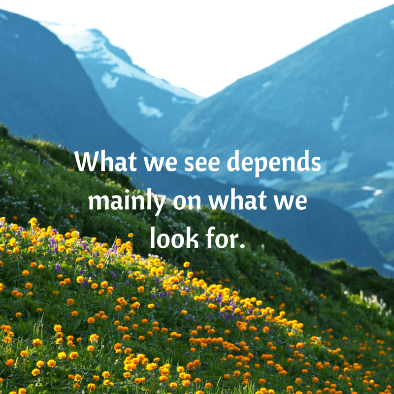 What we see depends mainly on what we